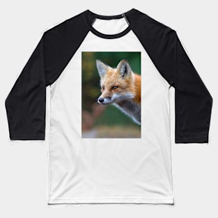 Red Fox - Algonquin Park, Canada Baseball T-Shirt